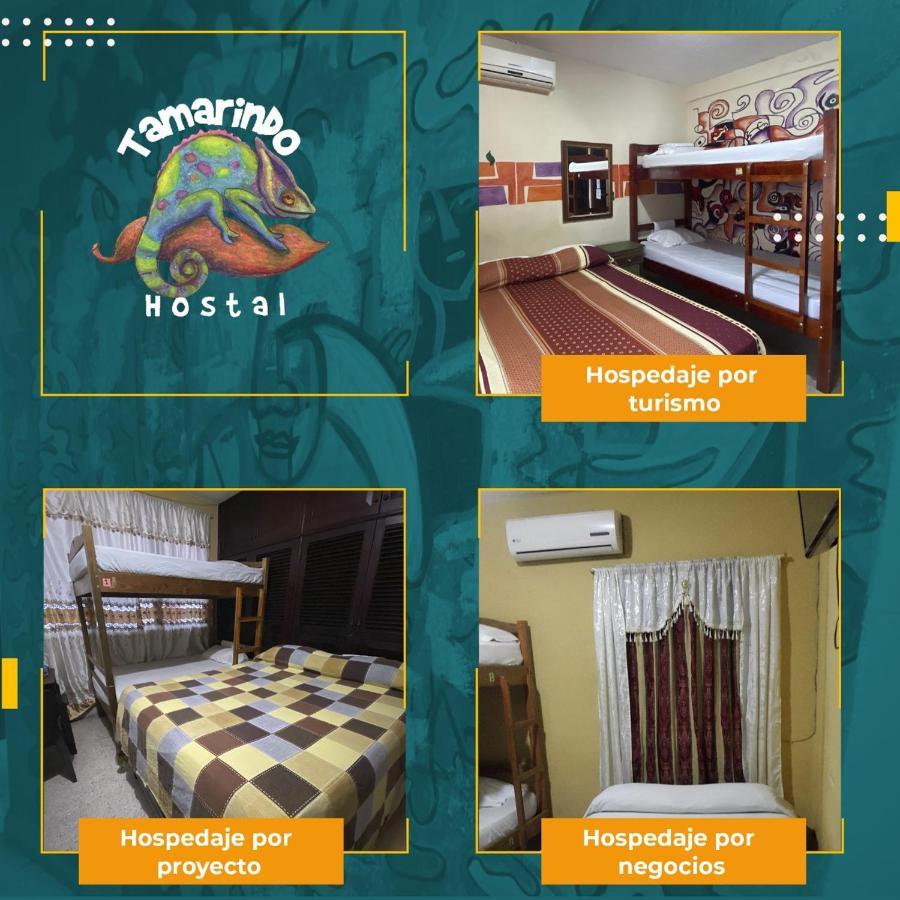 Tamarindo Hostel San Pedro Sula Eksteriør bilde