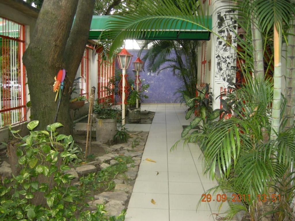 Tamarindo Hostel San Pedro Sula Eksteriør bilde
