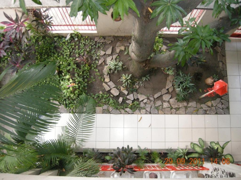 Tamarindo Hostel San Pedro Sula Eksteriør bilde